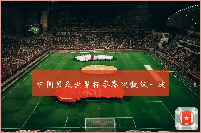 中国男足世界杯参赛次数仅一次